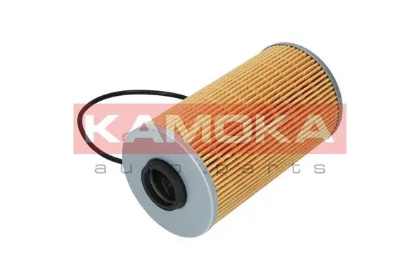 Oil Filter (F107401)