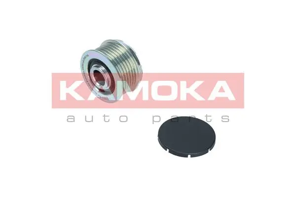 Alternator Freewheel Clutch