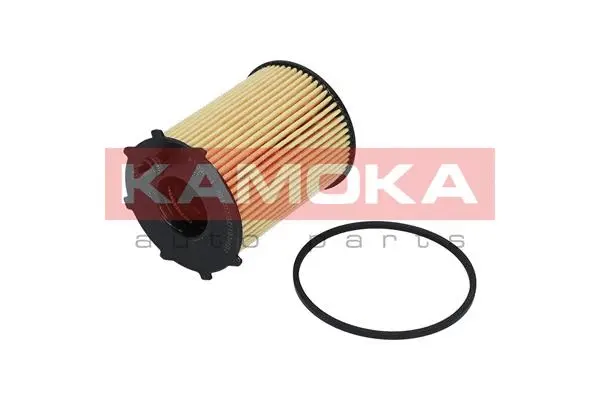 Oil Filter (F100701)