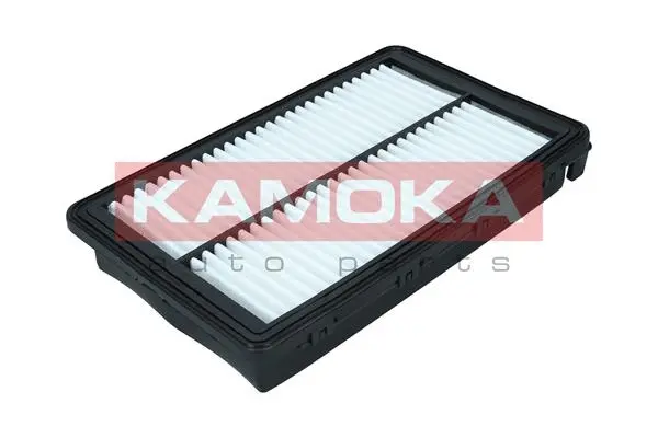 Air Filter (F251901)