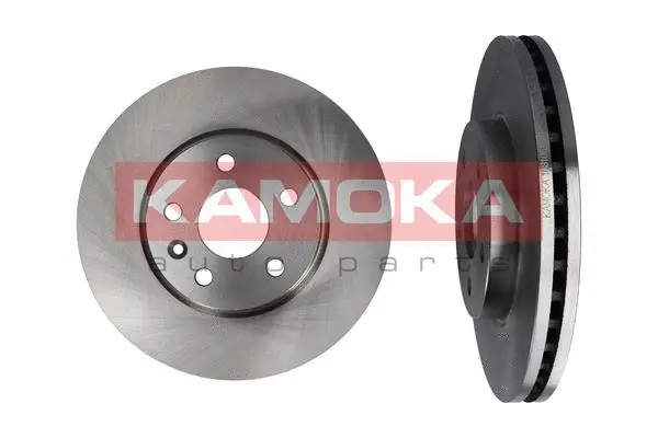 Brake Disc (1031061)