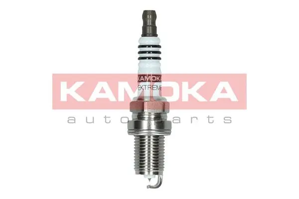 Spark Plug (7100030)