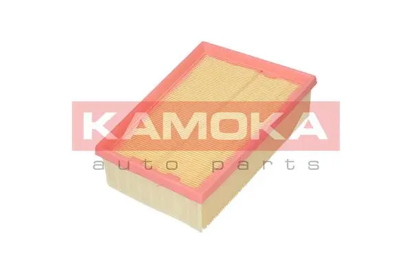 Air Filter (F213401)