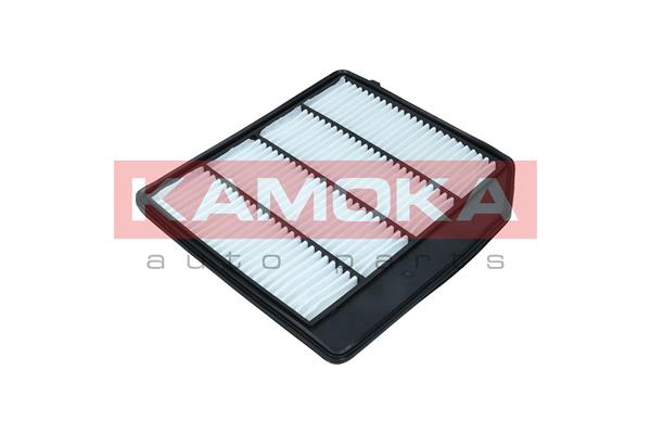 Air Filter (F258501)