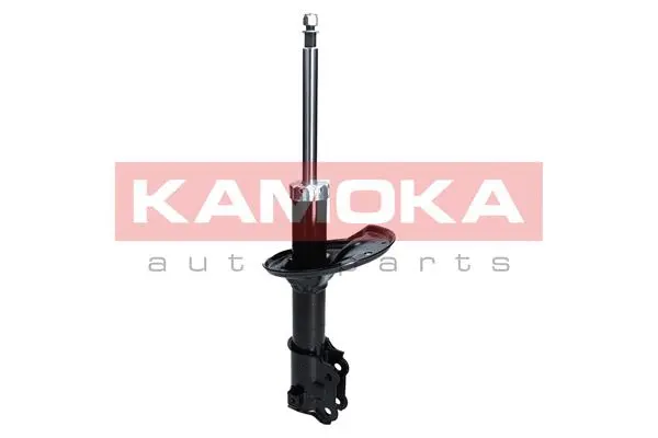 Shock Absorber (2000208)