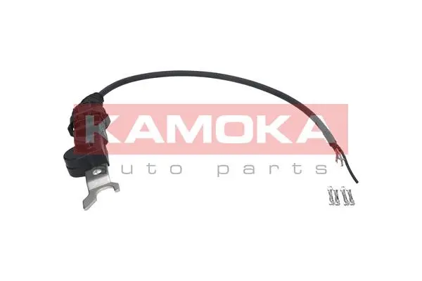 Sensor, camshaft position (108023)