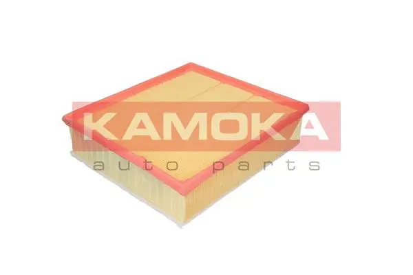 Air Filter (F212501)