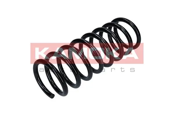 Suspension Spring (2120156)