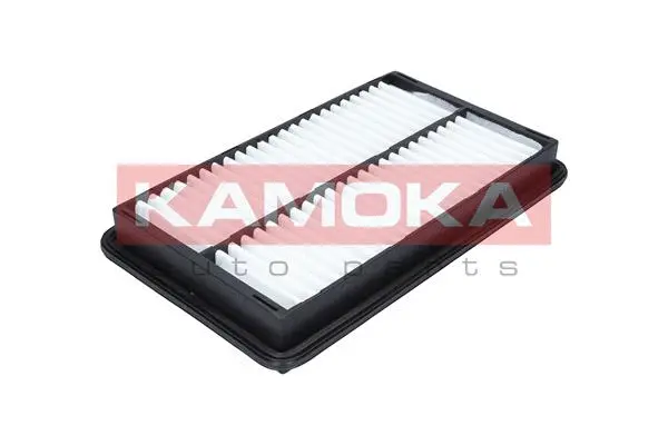 Air Filter (F237501)