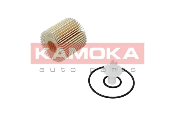 Oil Filter (F117901)