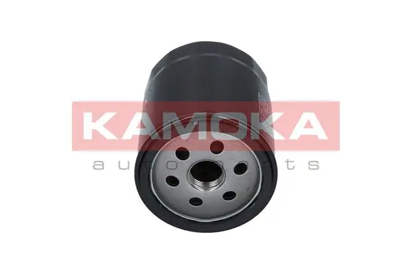 Oil Filter (F105001)