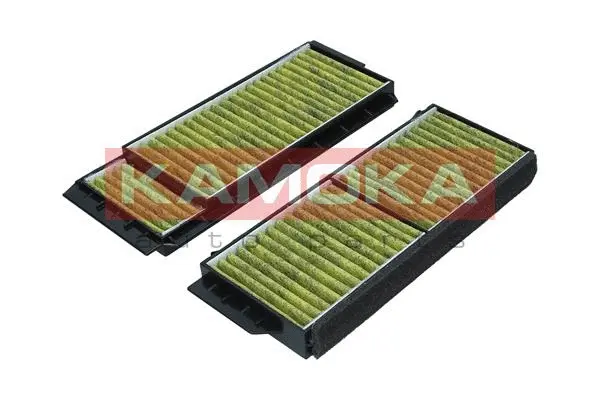 Filter, cabin air (6080150)