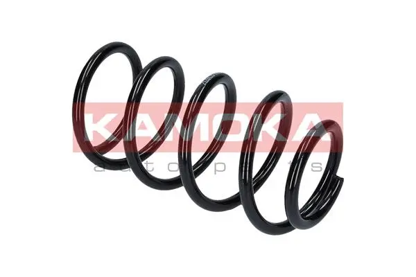 Suspension Spring