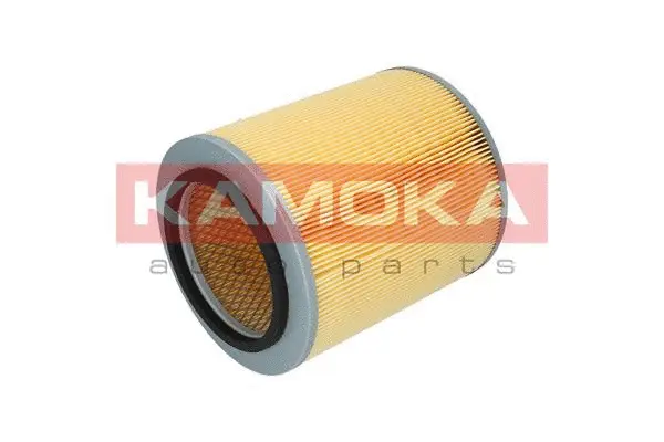 Air Filter (F216101)