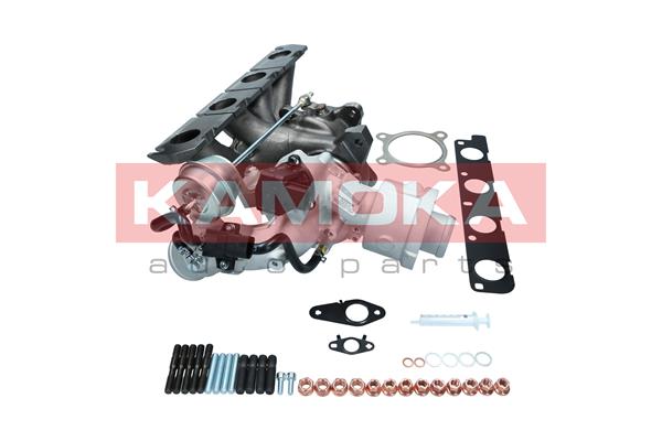 Charger, charging (supercharged/turbocharged) (8600072)