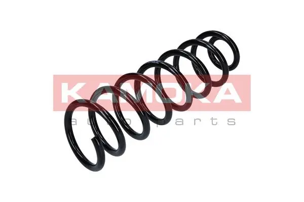 Suspension Spring (2120167)