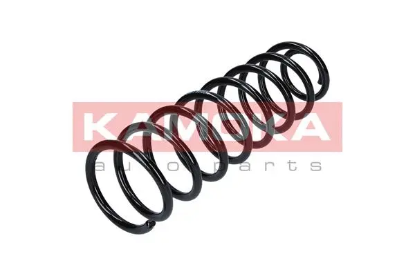Suspension Spring (2120108)