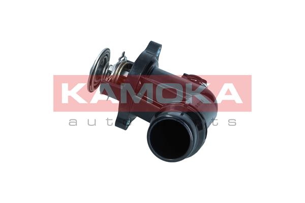 Thermostat, coolant