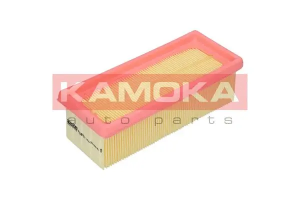 Air Filter (F228701)
