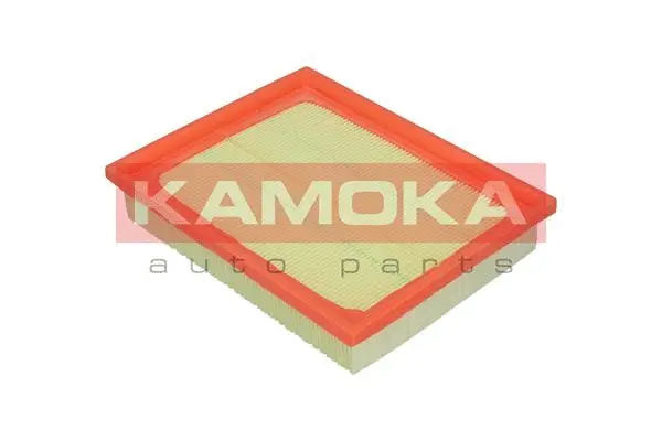 Air Filter (F201101)