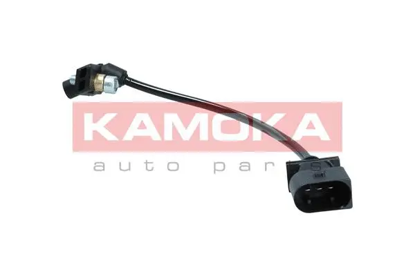 Sensor, camshaft position (108035)