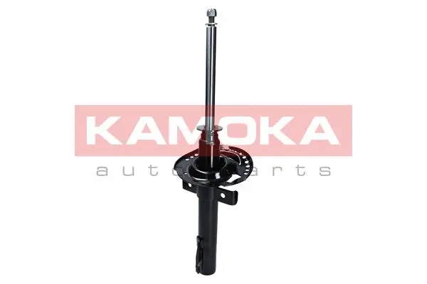Shock Absorber (2000388)