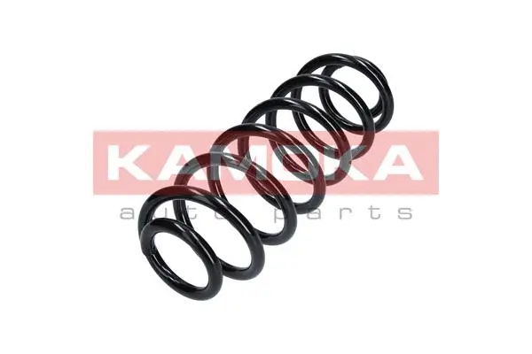 Suspension Spring (2120284)
