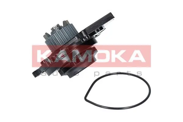 Water Pump, engine cooling (T0031)