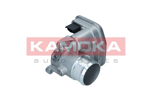 Throttle Body (112052)