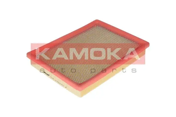 Air Filter (F216801)