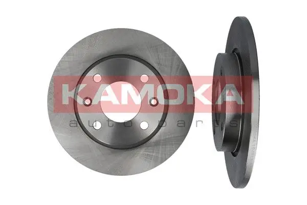 Brake Disc (103118)
