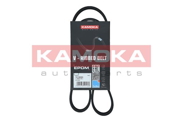 V-Ribbed Belt (7016024)