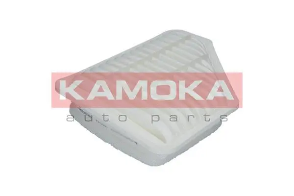 Air Filter (F212201)