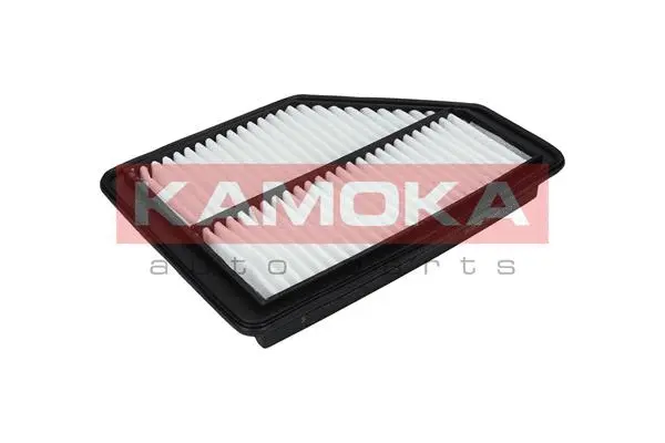 Air Filter (F225901)