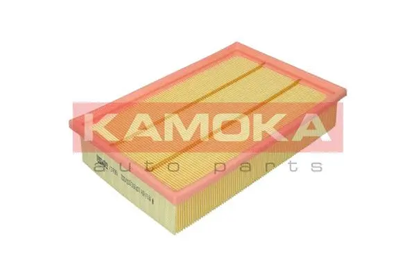 Air Filter (F247801)