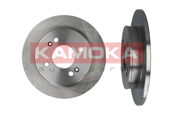 Brake Disc (1031027)
