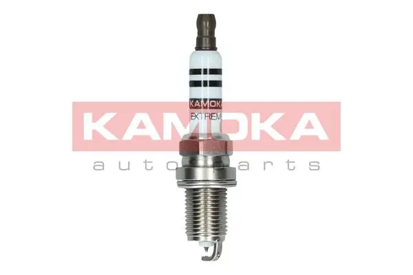 Spark Plug (7090011)