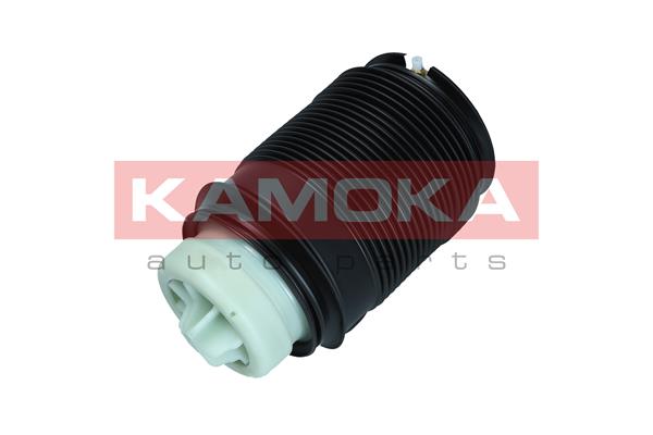 Air Spring, suspension (2079043)