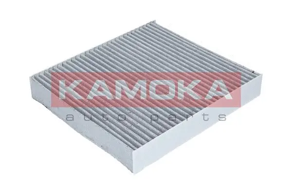 Filter, cabin air (F503801)