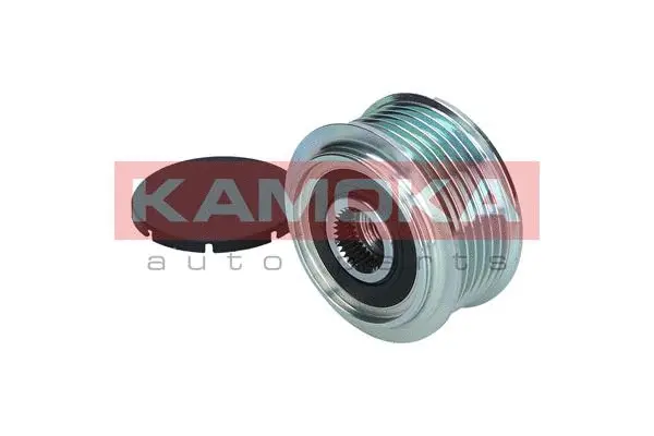 Alternator Freewheel Clutch