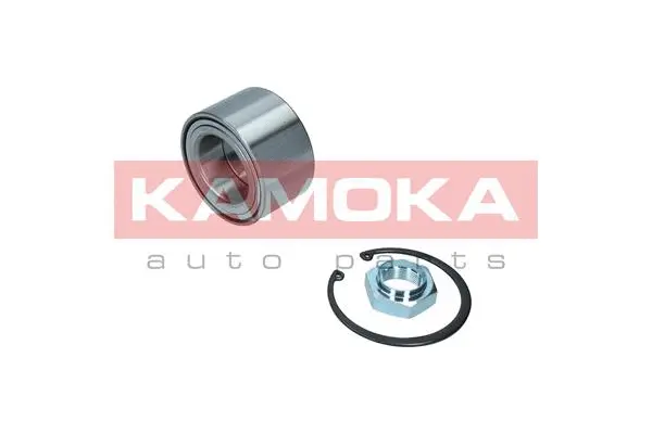 Wheel Bearing Kit (5600122)