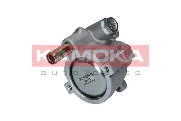Hydraulic Pump, steering (PP171)