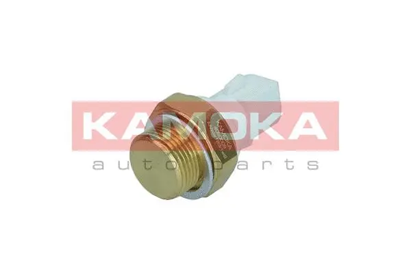 Temperature Switch, radiator fan (4090009)