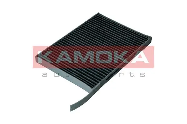 Filter, cabin air (F519601)
