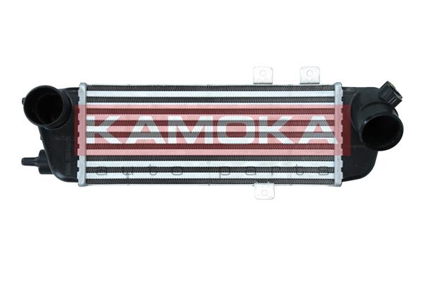 Charge Air Cooler (7750056)