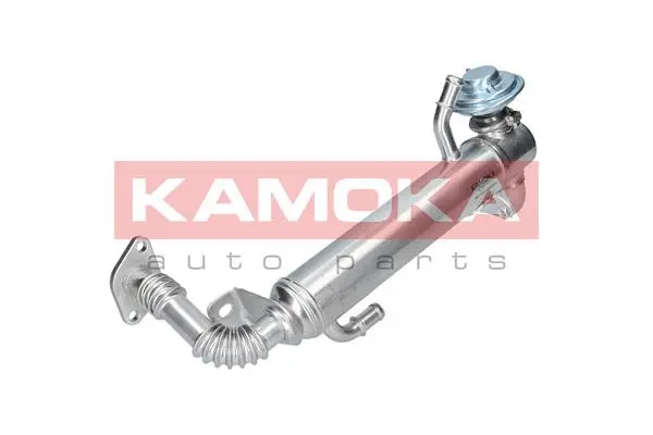 Cooler, exhaust gas recirculation