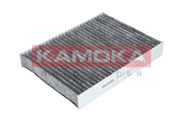 Filter, cabin air (F508601)
