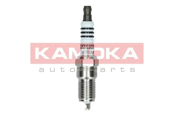 Spark Plug (7090018)