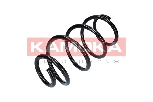 Suspension Spring (2110174)