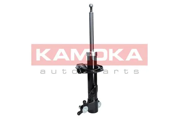 Shock Absorber (2000111)